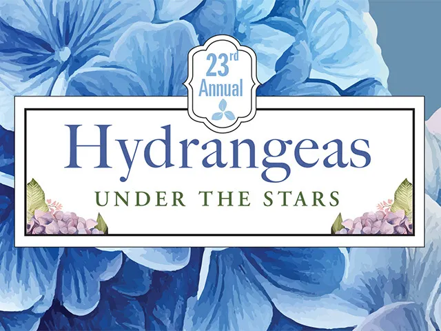 Hydrangeas Under the Stars @ Aldridge Gardens